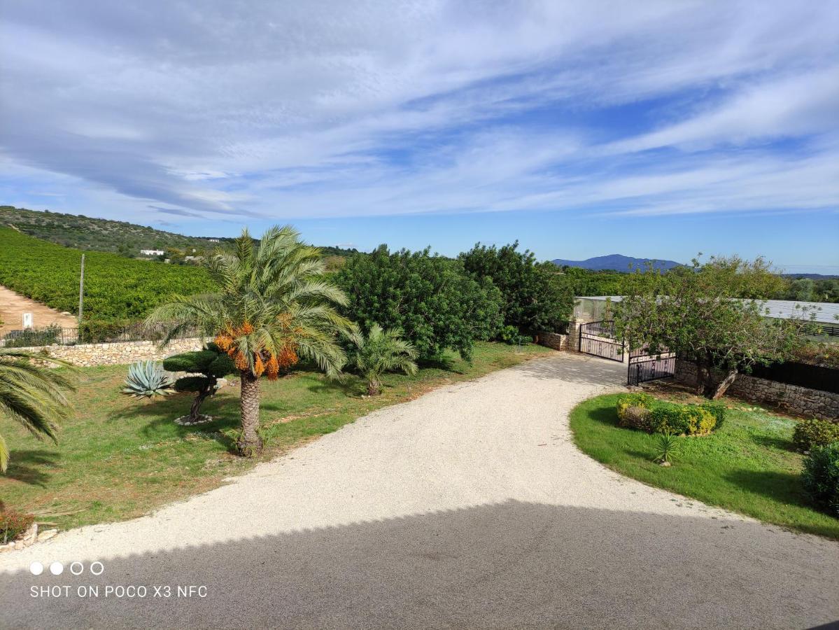 Finca Tierra Roja Cálig エクステリア 写真